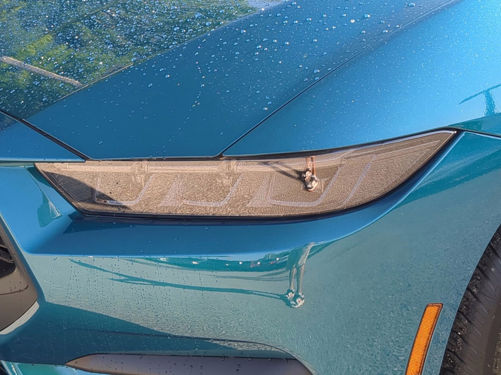 2026 Adriatic Blue Metallic Ford Mustang EcoBoost RWD Coupe