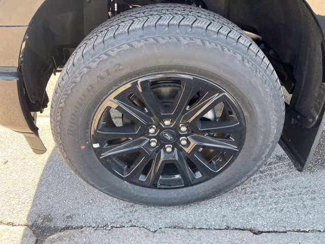 2025 Black Metallic Ford F-150 Platinum 4X4 Truck