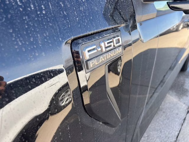 2025 Black Metallic Ford F-150 Platinum 4X4 Truck