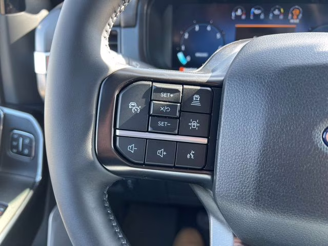 2025 Black Metallic Ford F-150 Platinum 4X4 Truck