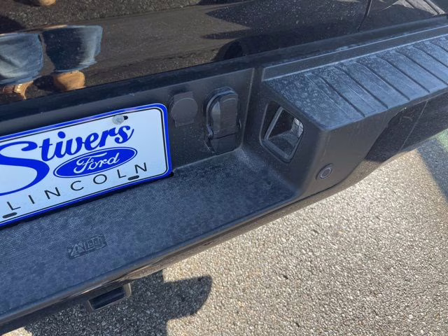 2025 Black Metallic Ford F-150 Platinum 4X4 Truck