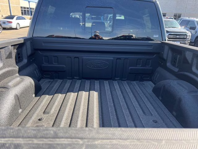 2025 Black Metallic Ford F-150 Platinum 4X4 Truck