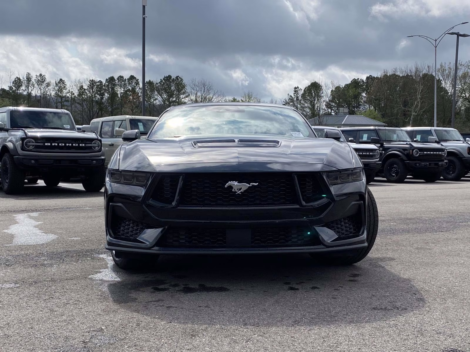 2026 Shadow Black Ford Mustang GT Premium RWD Coupe
