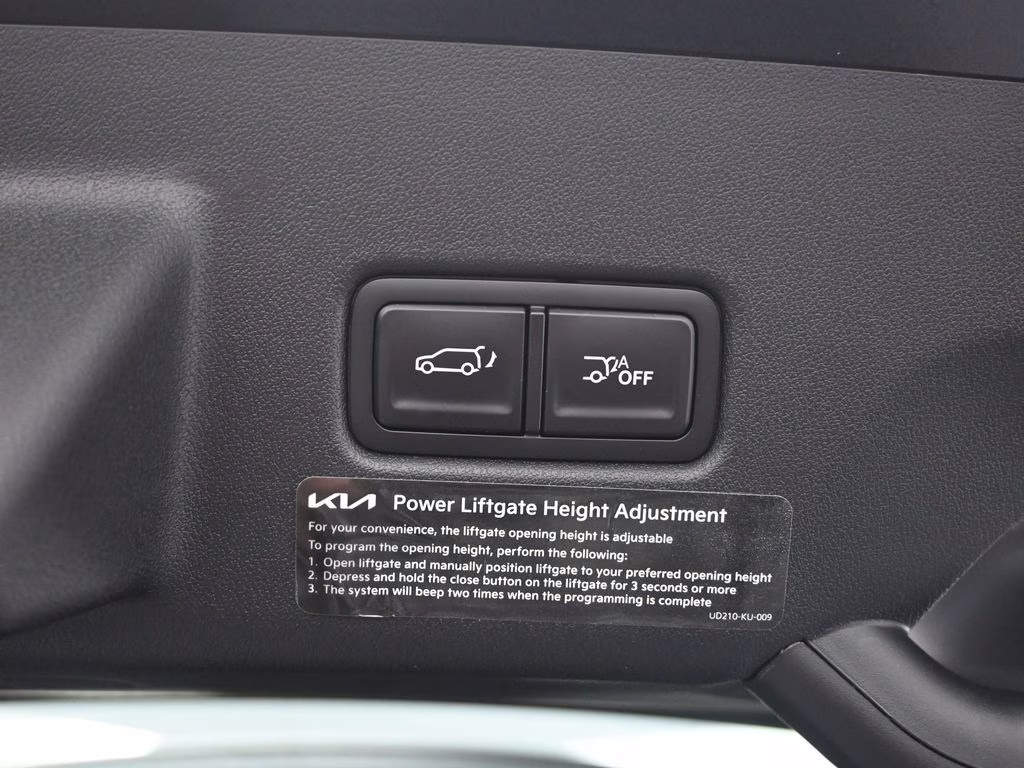 2027 Panthera Metal Kia Telluride X-Pro SX-Prestige AWD SUV