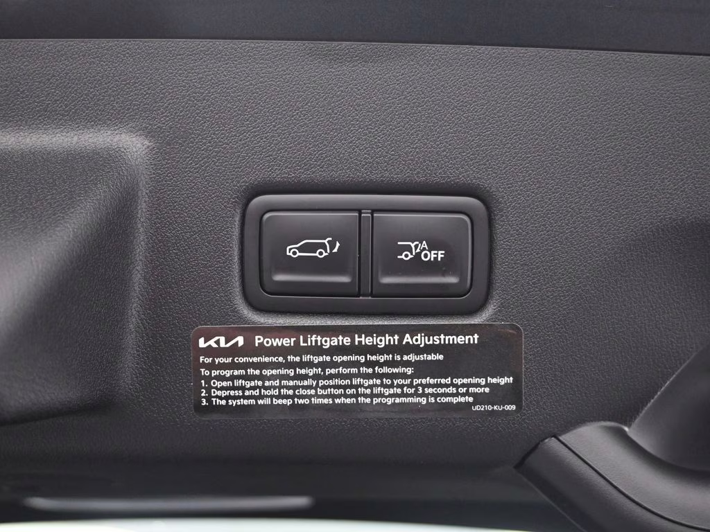 2027 Panthera Metal Kia Telluride X-Pro SX-Prestige AWD SUV