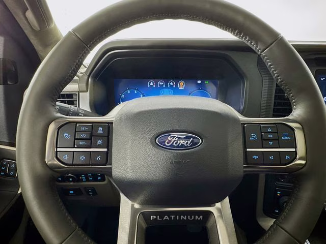 2026 Agate Black Metallic Ford F-150 Platinum 4X4 Truck