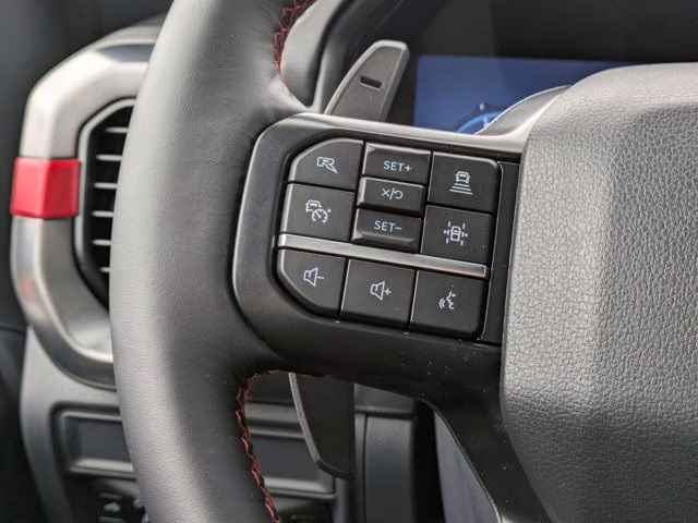 2025 Gray Metallic Ford F-150 Raptor 4X4 Truck