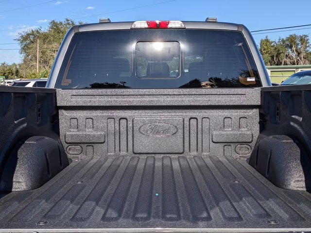 2025 Carbonized Gray Metallic Ford F-150 Platinum 4X4 Truck