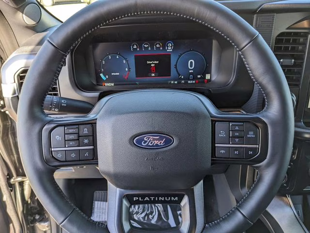 2025 Carbonized Gray Metallic Ford F-150 Platinum 4X4 Truck