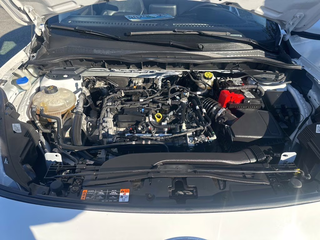 2022 White Ford Escape SEL AWD SUV