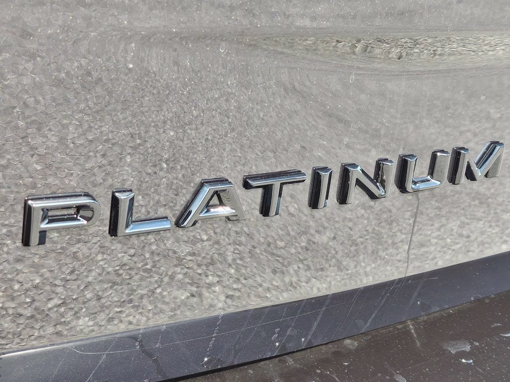 2026 Agate Black Metallic Ford Expedition Platinum 4X4 SUV