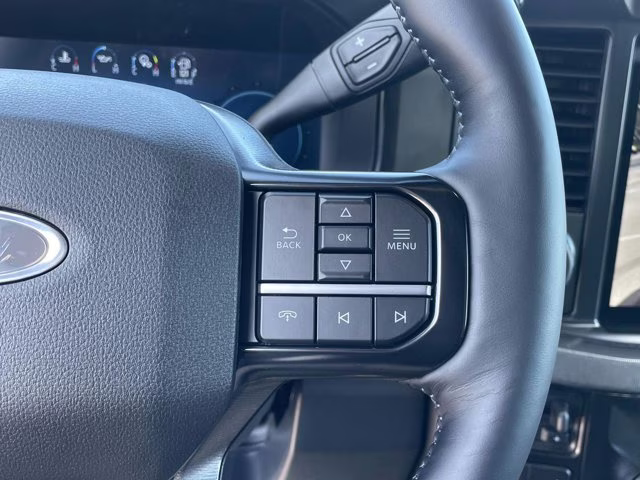 2026 Ruby Red Metallic Tinted Clearcoat Ford Super Duty F-350 SRW Platinum 4X4 Truck