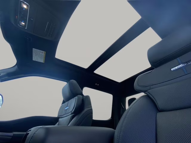 2026 Agate Black Metallic Ford Super Duty F-350 SRW Platinum 4X4 Truck