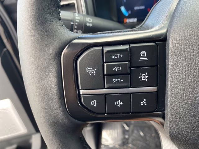 2026 Agate Black Metallic Ford Super Duty F-350 SRW Platinum 4X4 Truck