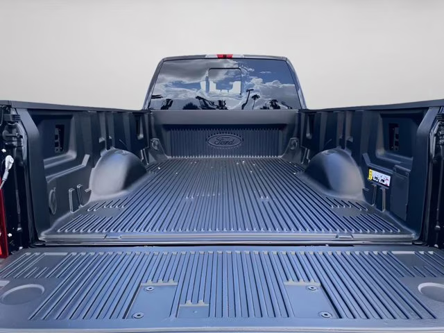 2026 Agate Black Metallic Ford Super Duty F-350 SRW Platinum 4X4 Truck