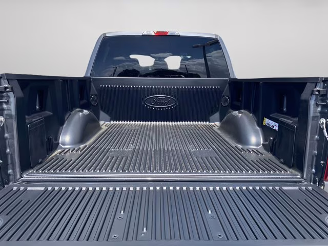 2026 Carbonized Gray Metallic Ford F-150 STX RWD Truck