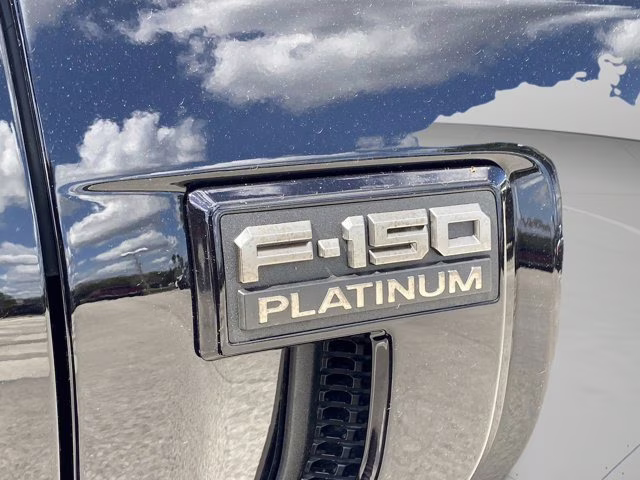 2026 Agate Black Metallic Ford F-150 Platinum 4X4 Truck