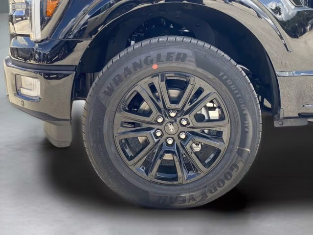 2026 Agate Black Metallic Ford F-150 Platinum 4X4 Truck