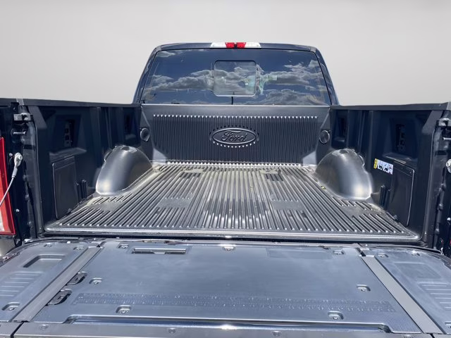 2026 Agate Black Metallic Ford F-150 Platinum 4X4 Truck