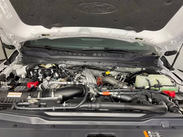 2026 Avalanche Ford Super Duty F-250 SRW Platinum 4X4 Truck