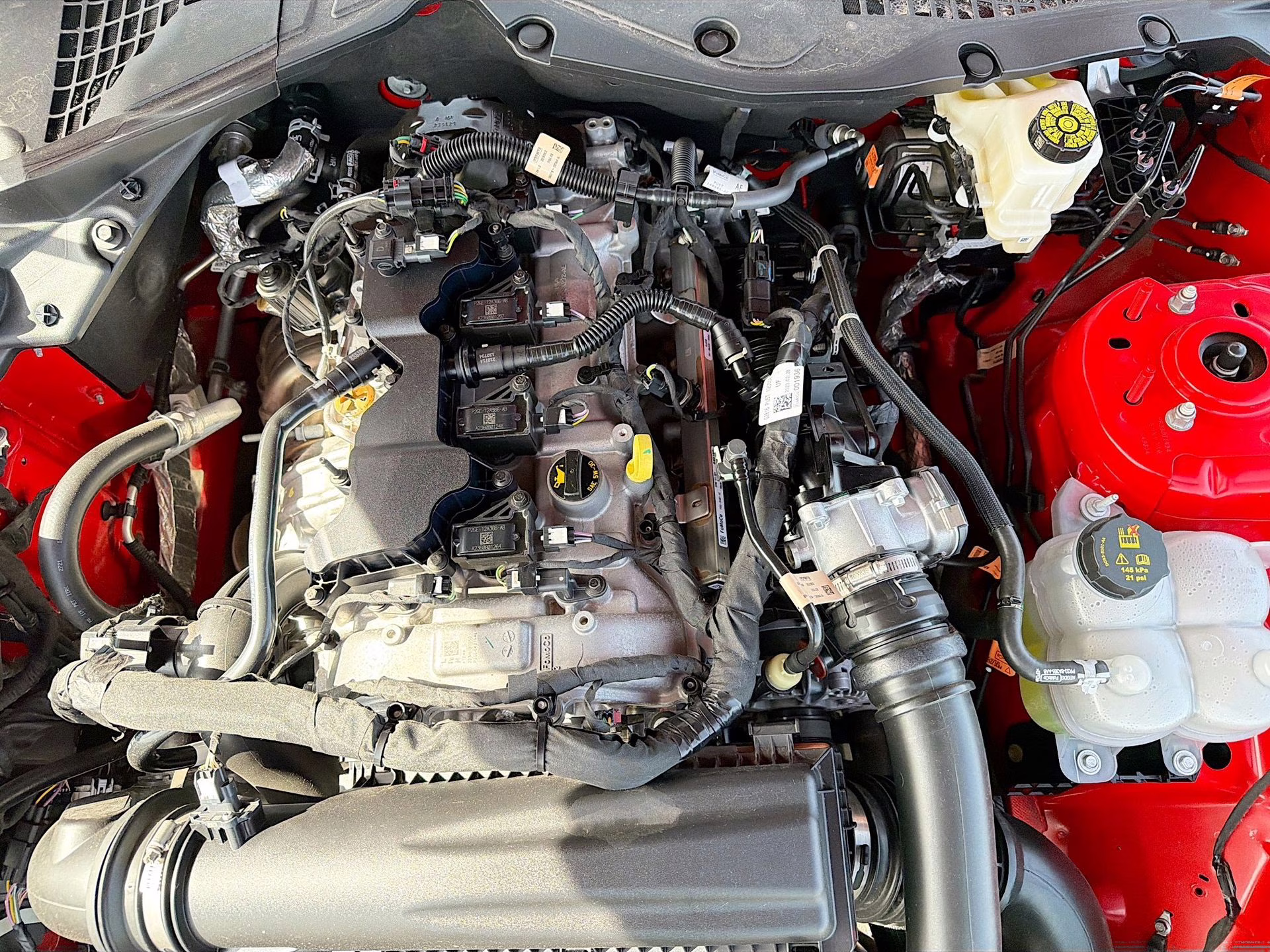 2024 Race Red Ford Mustang EcoBoost Premium RWD Coupe