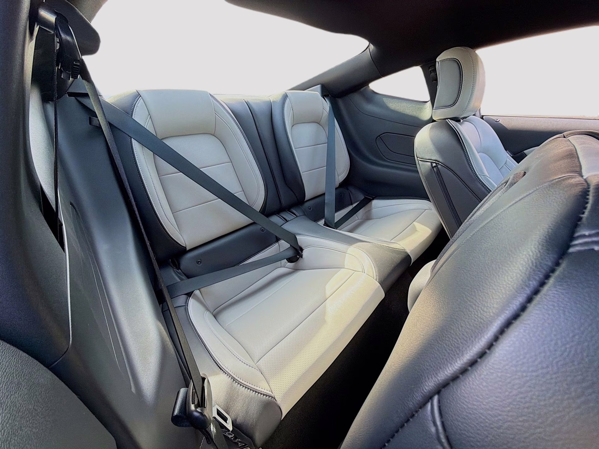 2024 Race Red Ford Mustang EcoBoost Premium RWD Coupe