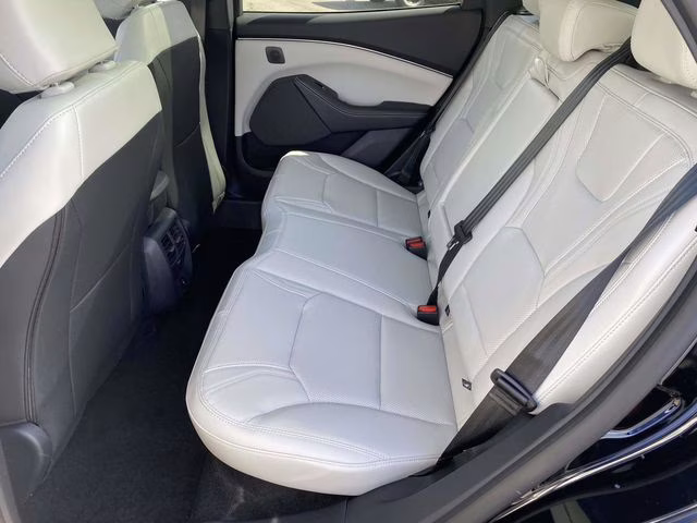 2026 Shadow Black Ford Mustang Mach-E Premium RWD SUV