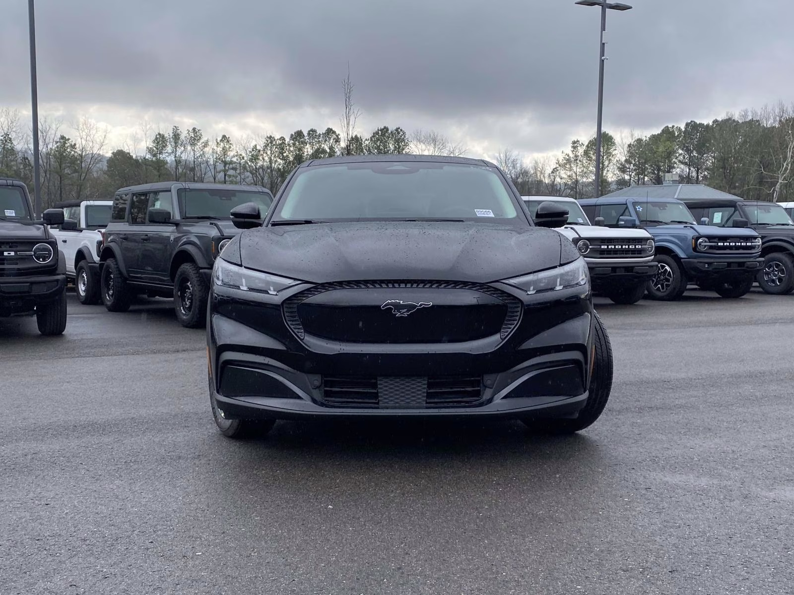 2026 Shadow Black Ford Mustang Mach-E Select RWD SUV