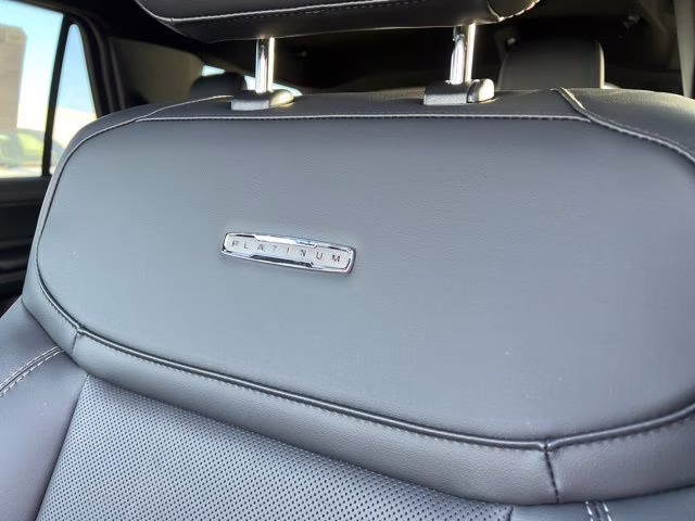 2026 Agate Black Metallic Ford Expedition Platinum 4X4 SUV