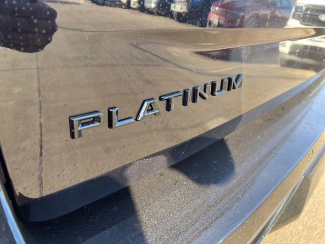 2026 Agate Black Metallic Ford Expedition Platinum 4X4 SUV