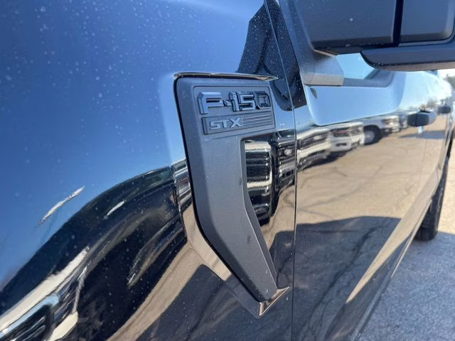 2026 Agate Black Metallic Ford F-150 STX 4X4 Truck