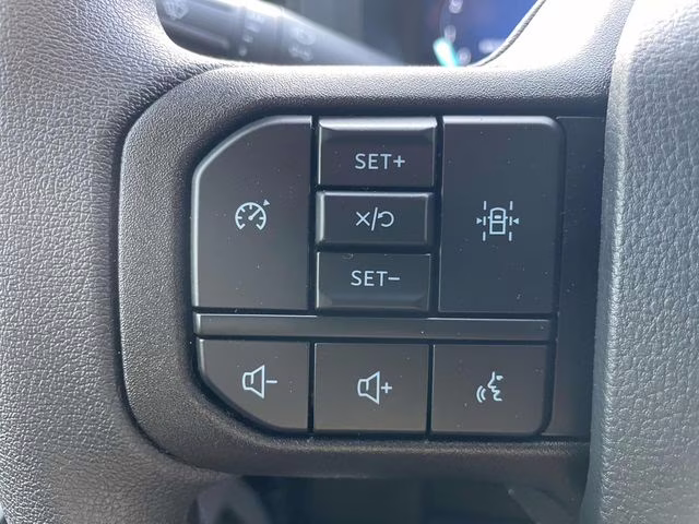 2025 Black Metallic Ford F-150 XL 4X4 Truck