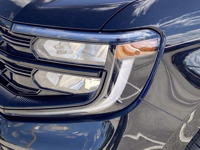 2026 Agate Black Metallic Ford Expedition Platinum 4X4 SUV