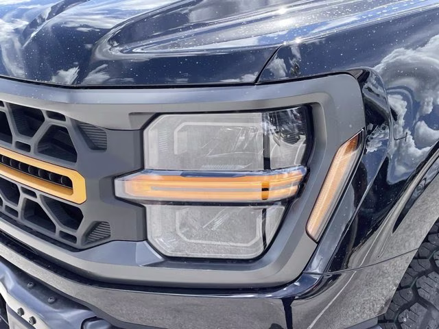2026 Agate Black Metallic Ford F-150 Tremor 4X4 Truck