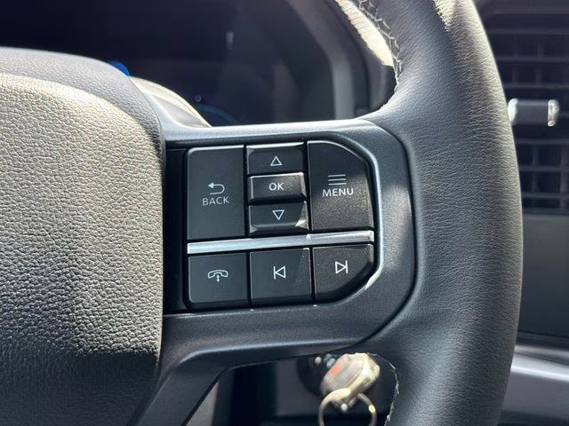 2026 Gray Ford F-150 XLT RWD Truck