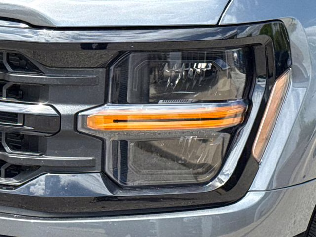 2026 Gray Ford F-150 XLT RWD Truck