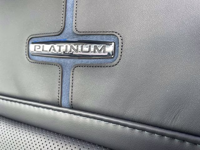 2026 Black Metallic Ford Super Duty F-250 SRW Platinum 4X4 Truck