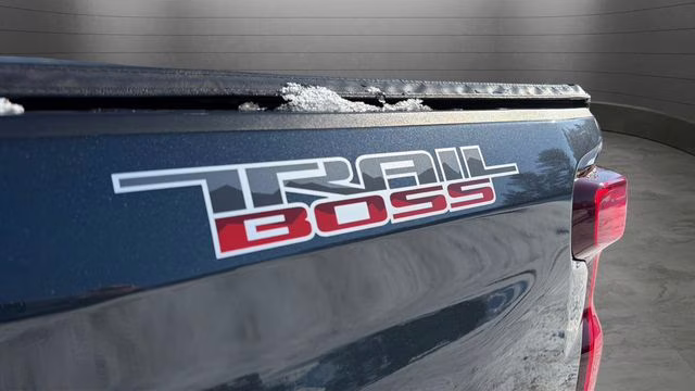 2020 Shadow Gray Metallic Chevrolet Silverado 1500 LT Trail Boss 4X4 Truck