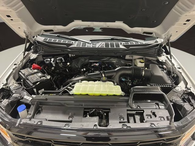 2026 Avalanche Ford F-150 XLT Black Appearance Plus 4X4 Truck