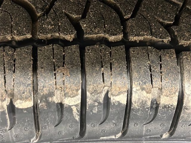 2026 Avalanche Ford F-150 XLT Black Appearance Plus 4X4 Truck