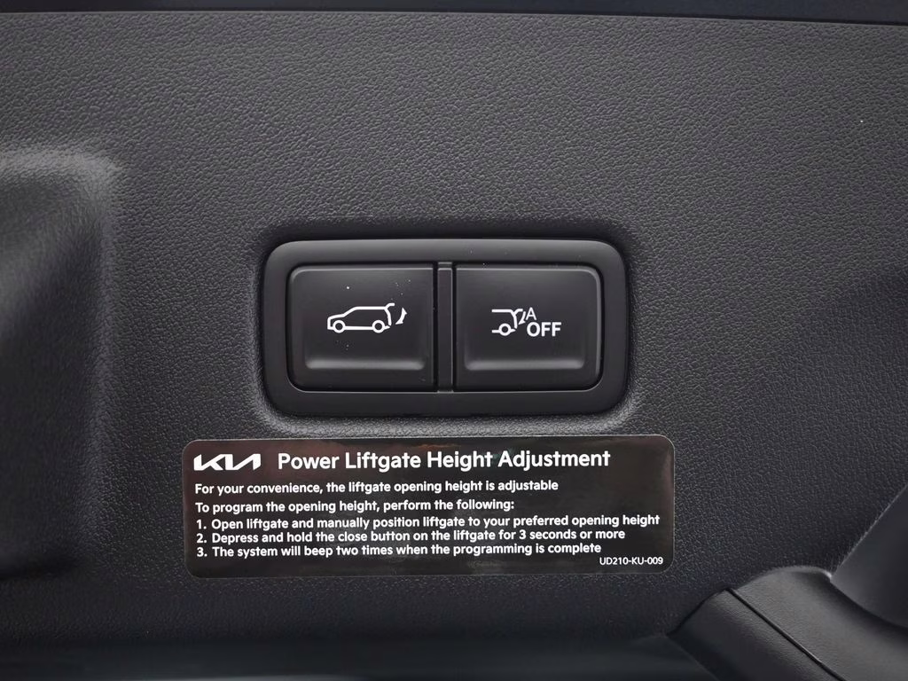 2027 Panthera Metal Kia Telluride X-Pro SX-Prestige AWD SUV