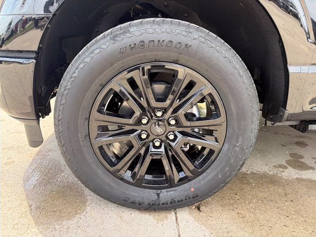 2025 Black Metallic Ford F-150 Platinum 4X4 Truck