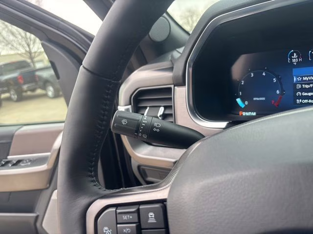 2025 Black Metallic Ford F-150 Platinum 4X4 Truck