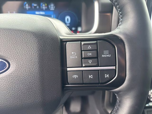 2025 Black Metallic Ford F-150 Platinum 4X4 Truck