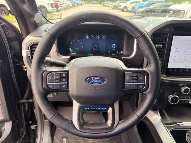 2025 Black Metallic Ford F-150 Platinum 4X4 Truck