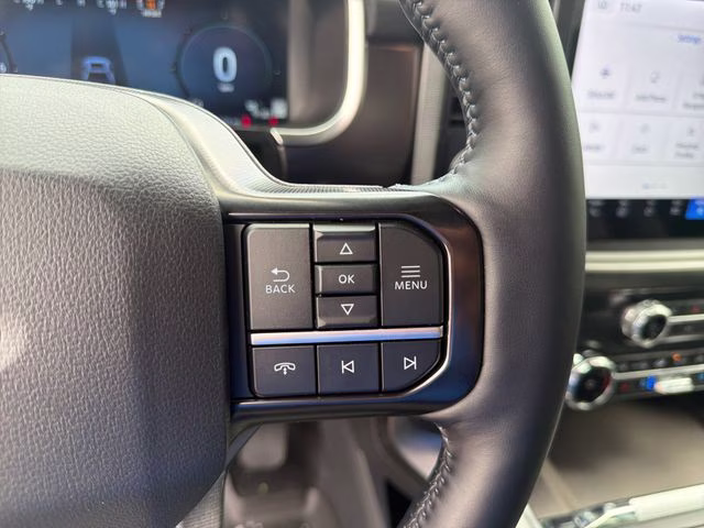 2025 Black Metallic Ford F-150 Platinum 4X4 Truck