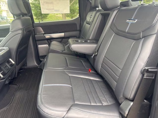 2025 Black Metallic Ford F-150 Platinum 4X4 Truck