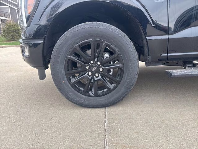 2025 Black Metallic Ford F-150 Platinum 4X4 Truck