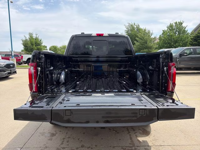 2025 Black Metallic Ford F-150 Platinum 4X4 Truck
