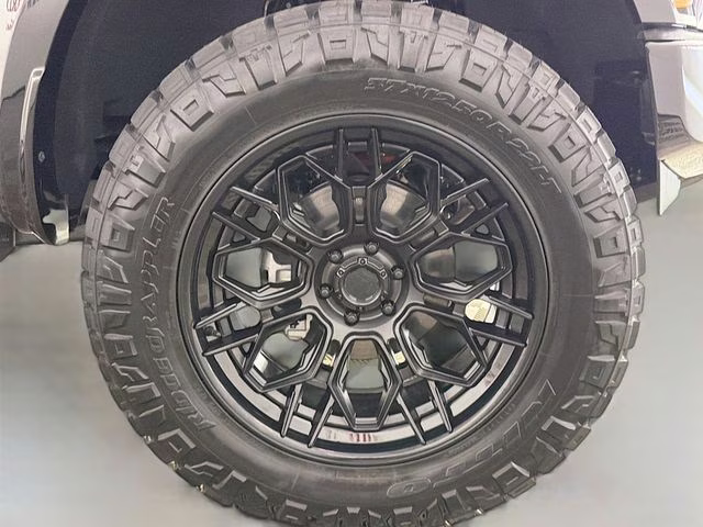 2026 Agate Black Metallic Ford F-150 Raptor Bozard Built 4X4 Truck